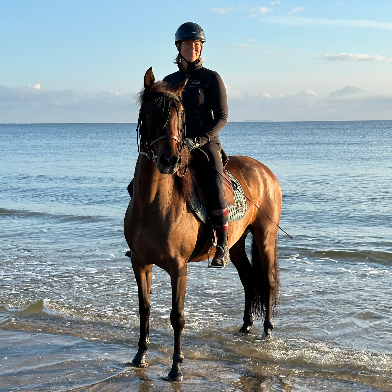Kathi Stec sitzt auf einem braunen Pferd im flachen Wasser am Meer im Licht der aufgehenden Sonne.