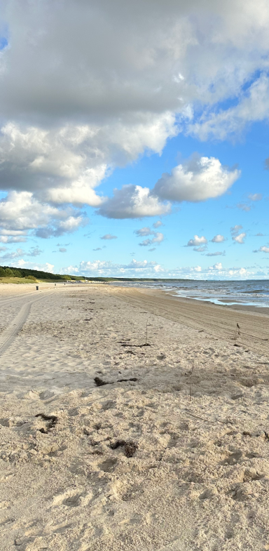 Ein weitläufiger Sandstrand unter bewölktem Himmel mit sanften Wellen.