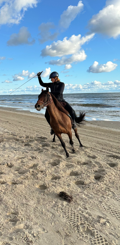 Kathi Stec auf ihrem braunem Pferd am Strand, mit Wellen und wolkigem Himmel im Hintergrund.