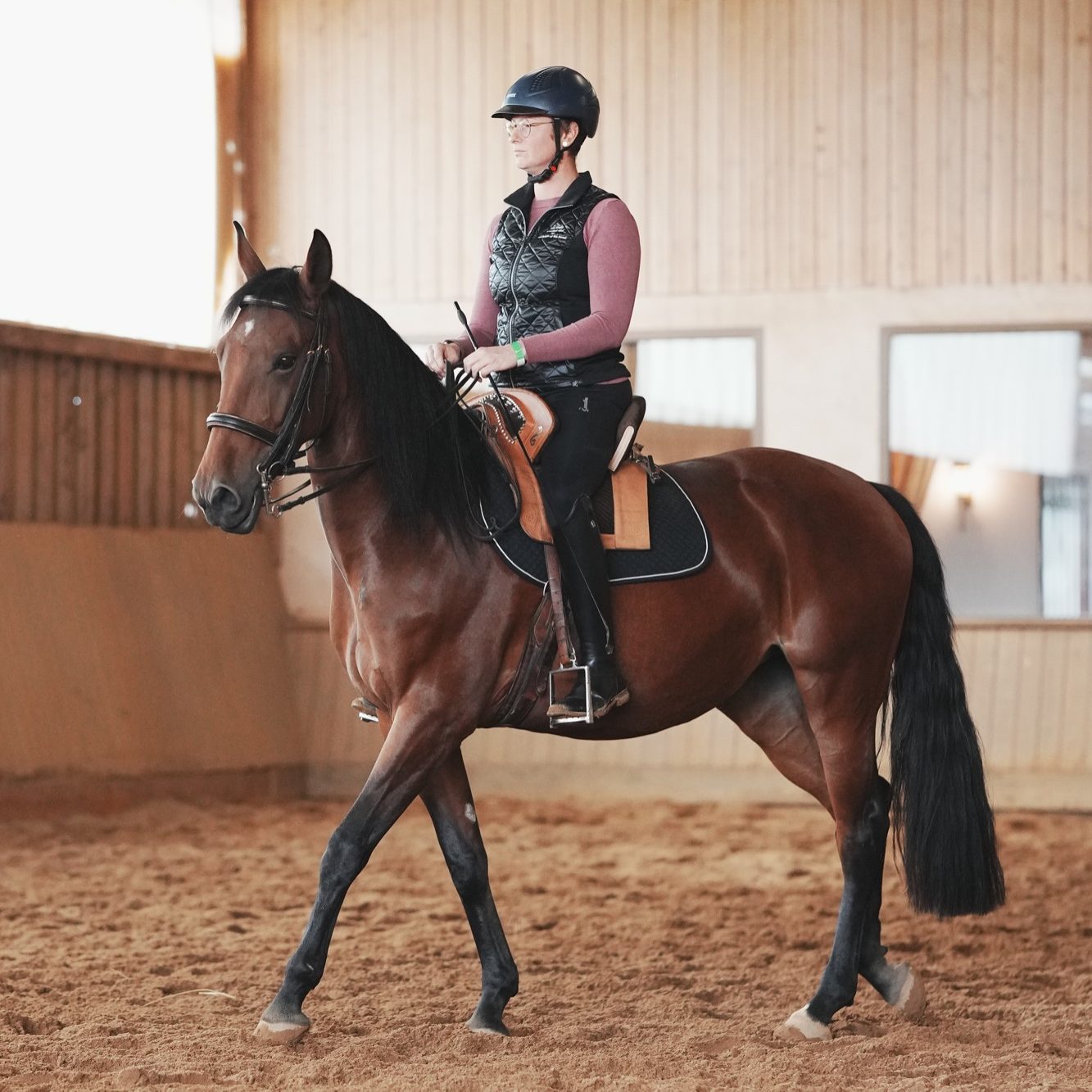 Kathi Stec auf braunem Pferd beim Reittraining in einer Reithalle, mit Helm und Sattel ausgestattet.