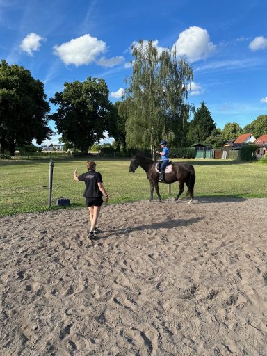 Reiterin auf einem schwarzen Pferd im Außenbereich bekommt von Kathi Stec Reittraining.