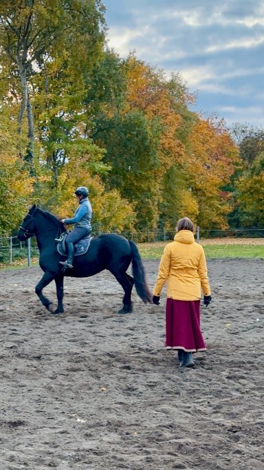 Reittraining einer Reiterin auf schwarzem Friesen durch Kathi Stec in gelber Jacke. Herbstliche Landschaft.